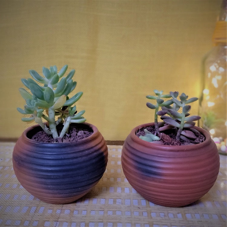 Reduction Fired Terracotta & Jute Hanging cum Desktop Planter Single