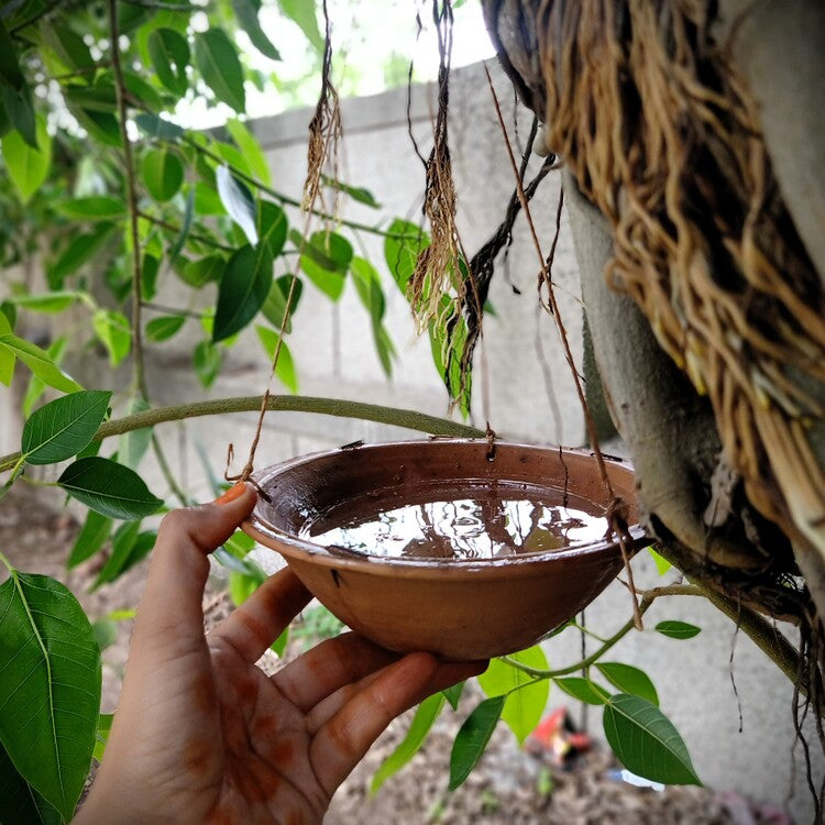 MP Terracotta Craft Birdbath