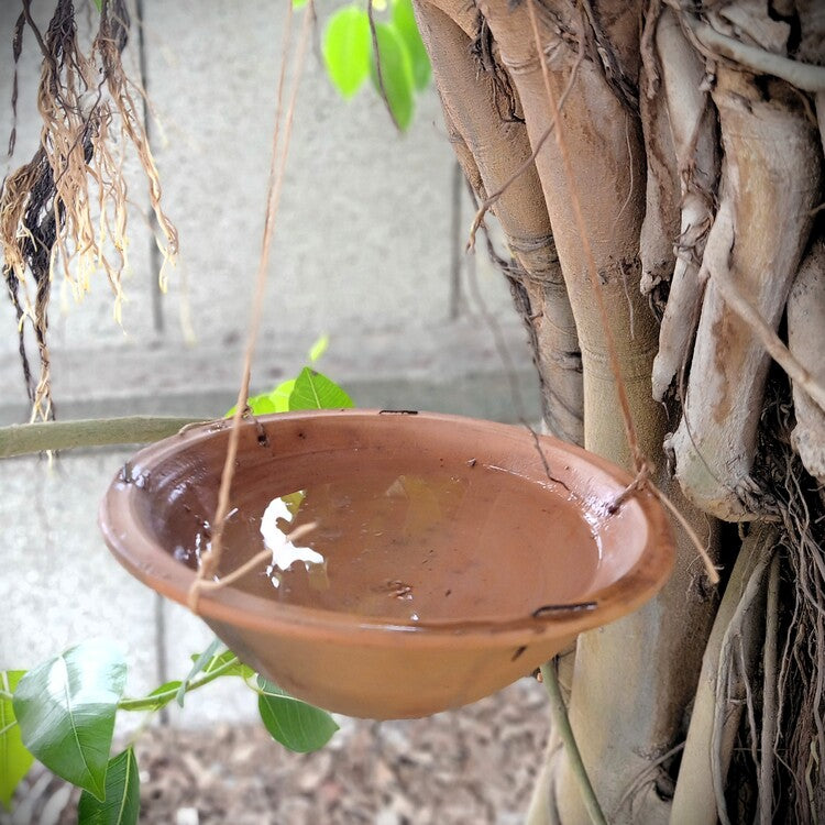 MP Terracotta Craft Birdbath